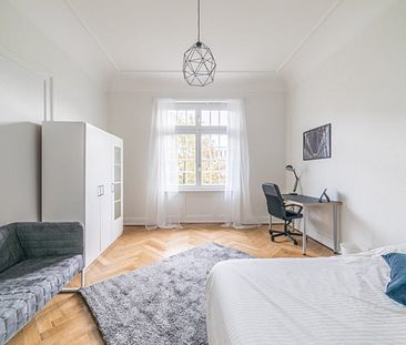 Strasbourg - Clémenceau - Chambre 1 - Photo 1