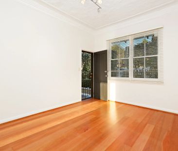 44 Breillat Street, Annandale. - Photo 4