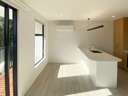 55b Mathesons Road, Phillipstown, NZ 8062 - Photo 5