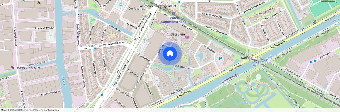 Omegaplantsoen 203, 2321 KT, Leiden