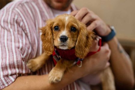 Cooper House, B5 6EF, Birmingham - Photo 3