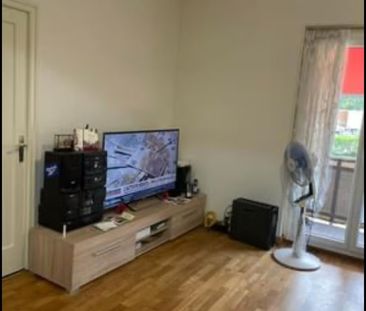 43 m² - Photo 2