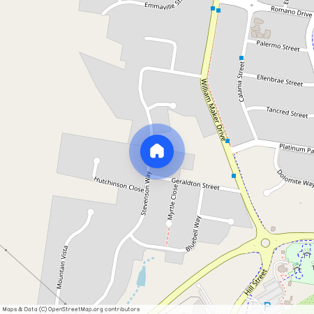 29 Stevenson Way, NSW 2800, Orange