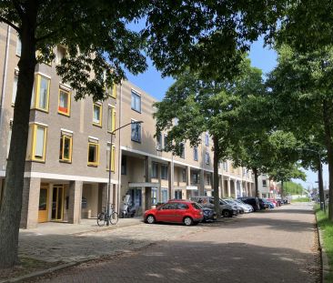 Maisonnette Annie Romeinsingel 136, Leyde - À louer - Foto 1