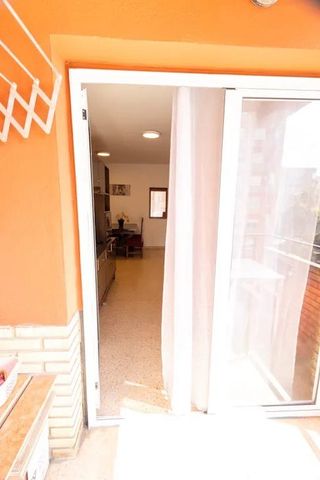 Plaça del Cedre, Valencia, Valencian Community 46022 - Photo 2