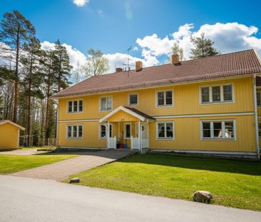 Otteshagen: Etta i lummigt område på nedre botten - Photo 1