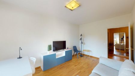 Furnished 3-room apartment, close to the United Nations - Geneva - Foto 5