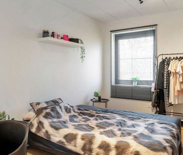 Woning te huur in Kalmthout voor € 1.500 met 3 slaapkamers - Photo 6