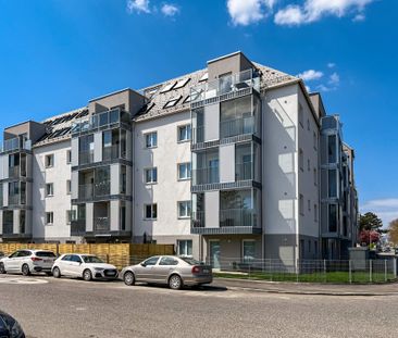 Wohnung im 1. DG mit 2 Zimmern und Balkon - Photo 3