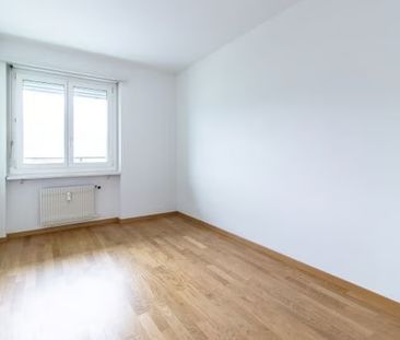 3 Zimmer, 64 m², 1. Stock - Photo 1
