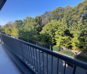 LOCATION APPARTEMENT T3 QUARTIER JARDIN MASSEY - Photo 1
