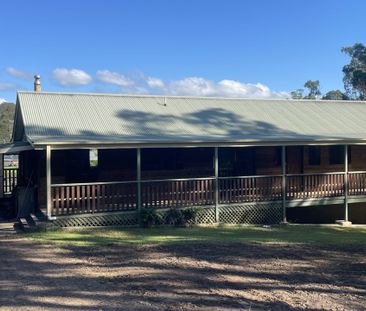 MOGO NSW - Photo 6