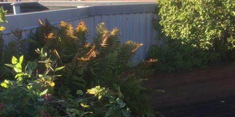 Klostergatan 35 - Photo 3