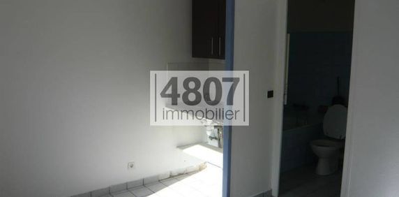 Location appartement 1 pièce 16.4 m² à Cluses (74300) - Photo 2