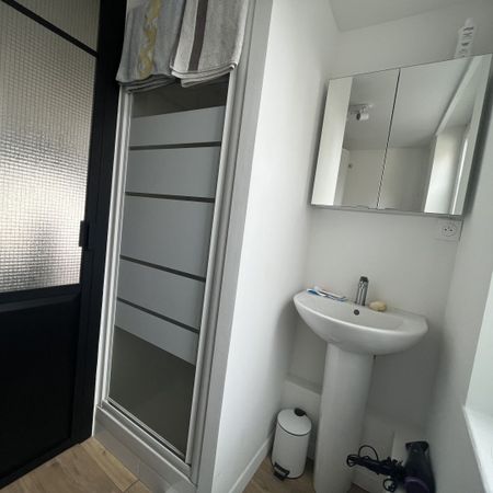 Location Appartement 1 pièce 17m² LILLE 59000 - Photo 3
