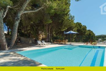 Sunny Hill WINTER OFFER