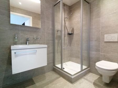 Apartment in Altstetten-Zürich - Photo 3