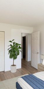Saguenay – Jonquière – Novelo – Appartement 4 1/2 à louer - Photo 3