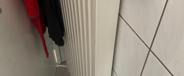 Wohnung in Hof: 2 Zimmer, Küche, Bad, Keller, Bodenabteil - Photo 1