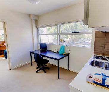 Medium 1 Bedroom - Photo 1