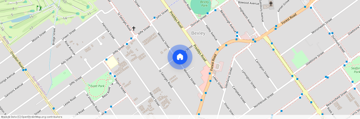 19 Downey Street, Bexley NSW 2207