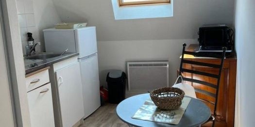Appartement à louer, 1 pièce - Angers 49100 - Photo 3