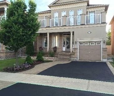 For Lease - 155 Johnswood Crescent Unit# Bsmt, Vaughan, Ontario - Photo 5