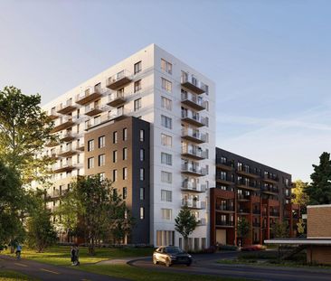1 Bedroom - 218 Boulevard Maisonneuve, Gatineau - Photo 3