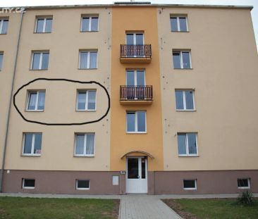 Pronájem bytu 2+1 50 m² - Photo 3