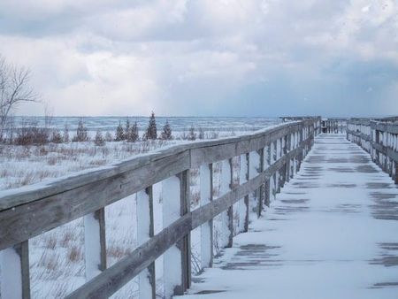 For Lease - 639 Johnston Park Avenue, Collingwood, Ontario - Photo 3