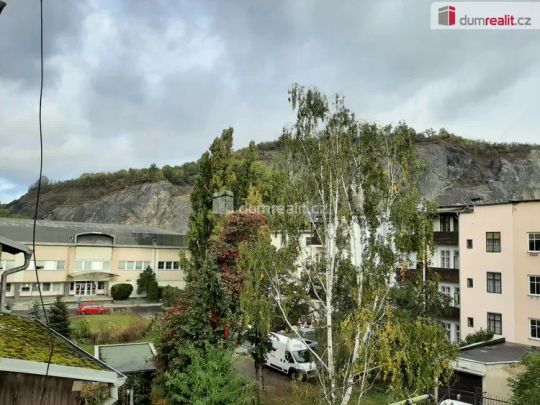 pronájem bytu 1+1, Ústí nad Labem, Střekov, Mánesova - Fotografie 1