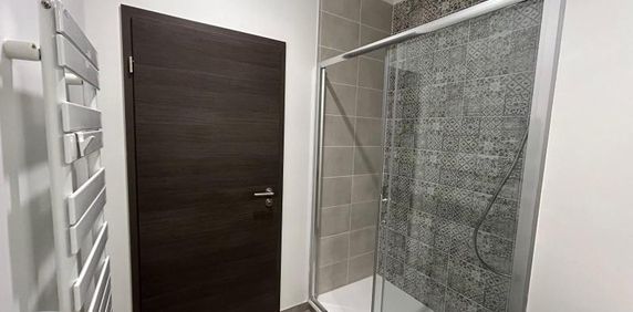 Appartement 1 pièce à Metz - Photo 2