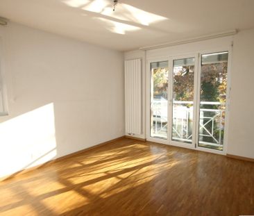 Villa jumelée de 6 pièces avec terrasse et jardin à Bellevue - Photo 5