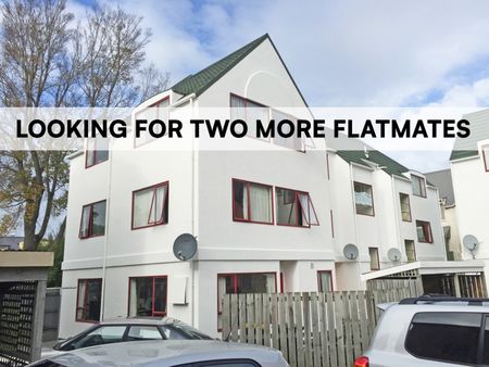 Two more flatmates needed for 2026 - Photo 3