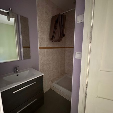 Location Appartement 1 pièce 20m² LIMOGES 87100 - Photo 4