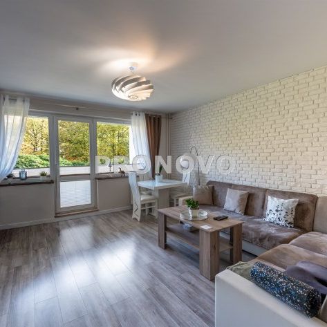 Szczecin, Zdroje - Фото 1