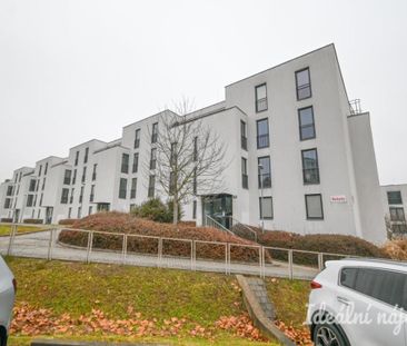 Pronájem bytuRenting an apartment 1+kk, 30 m2 - Fotografie 4