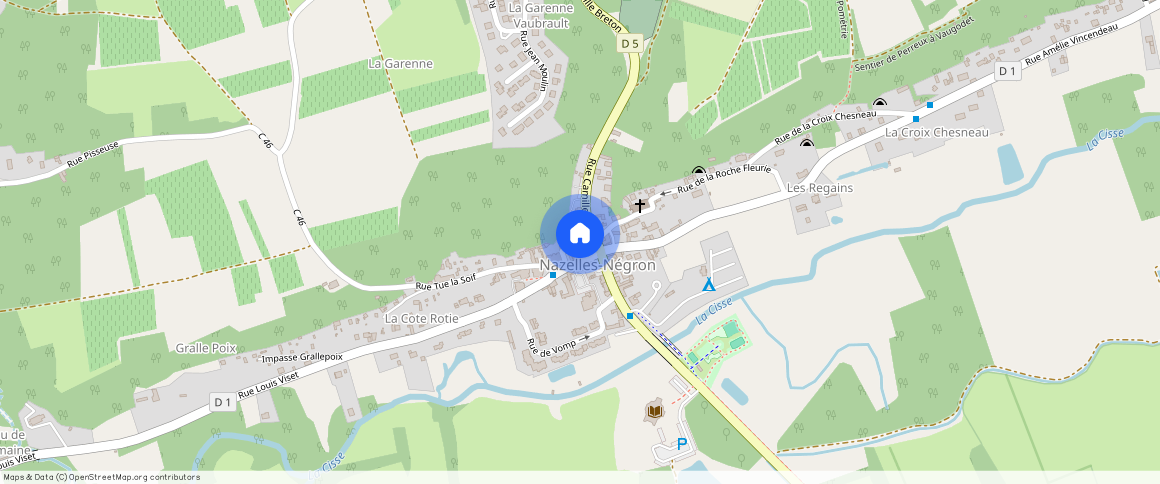 NAZELLES NEGRON (37530)