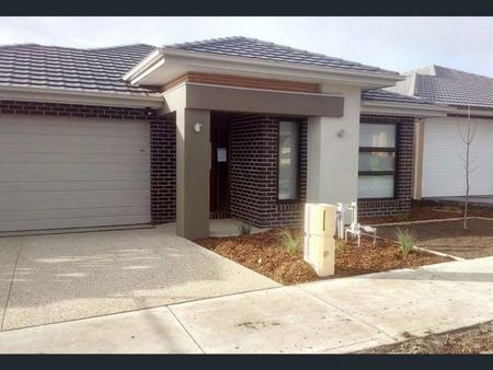 11 Otto Street, CRANBOURNE EAST - Photo 3