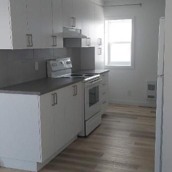 3 et demi Farnham. rénové, moderne, droit au chat, proche de tout ! - Photo 3