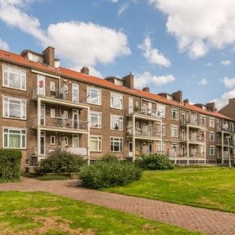 Apartment Rotterdam - Bernardus Gewinstraat - Photo 1