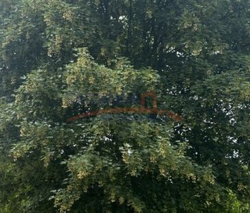 Pogodno, ul. Adama Mickiewicza, Szczecin - Фото 2