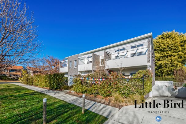 8/7 Lowanna Street, Braddon ACT 2612 - Apartment For Rent | Domain - Photo 1