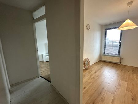 Laan op Zuid - Photo 4