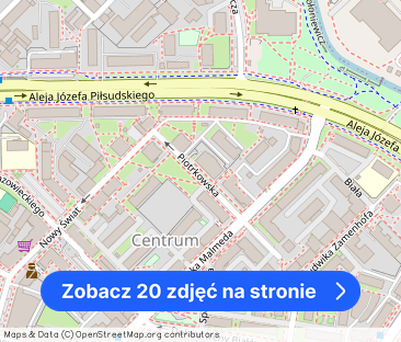 Centrum Piotrkowska 2 pokoje 56 m2 klimatyczne - Zdjęcie 1
