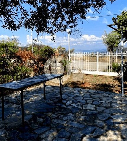 Μονοκατοικία για ενοικίαση Μαλεσίνα - Photo 3