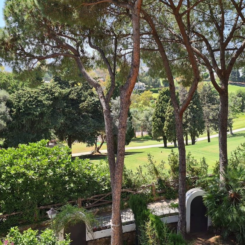 Alquiler de chalet adosado en Urbanización Los Pinos de Aloha, 2 - Photo 1