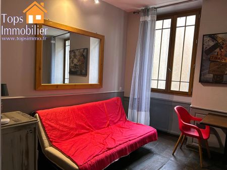 Location Appartement 1 pièce 27m² VILLEFRANCHE DE ROUERGUE 12200 - Photo 3