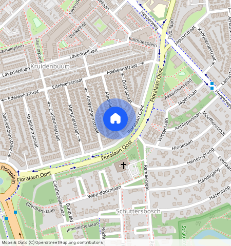 Kruidenbuurt, 5643 HT, Madeliefstraat, Eindhoven