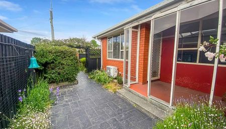 Sunny and Spacious with a Great Location - Photo 5